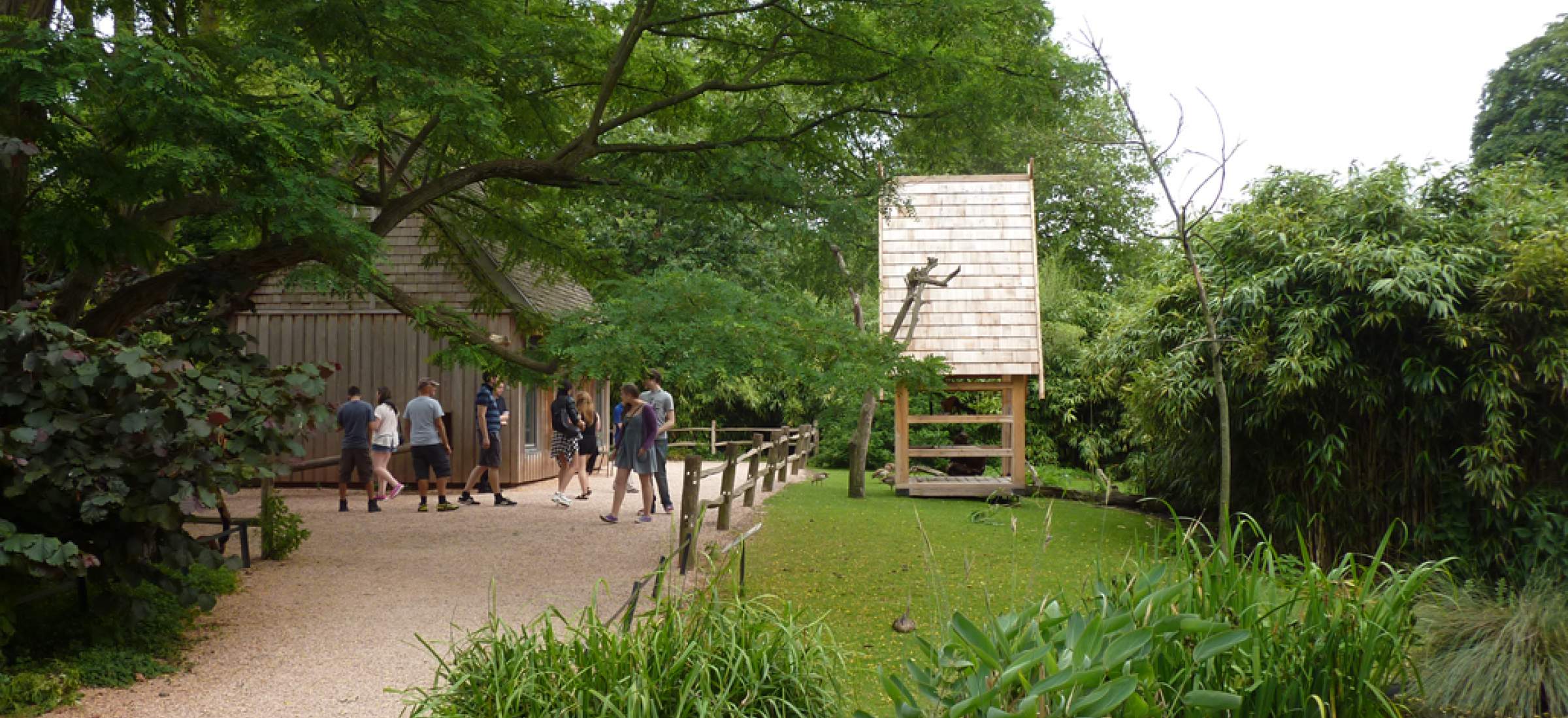 Image showcasing ARTIS Lemur House | LANDLAB